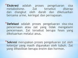 Sistem Ekskresi Ppt Download