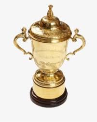 You can download 402*804 of premier league trophy now. Rugby World Cup Trophy Png Transparent Png Kindpng