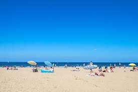It's (one of) *the* place(s) to enjoy a nice summer day in amsterdam! 8 Schone Ausfluge In Amsterdam Wolkenweit