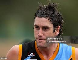 795 The Sandringham Zebras Stock Photos, High-Res Pictures, and Images