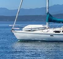 10 ft aquapro dinghy. $450. The Aquapro Sportmaster 1001 is ...