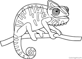 Check spelling or type a new query. Chameleon Coloring Pages Coloringall