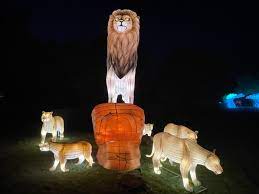 Sedgwick County Zoo Kicks Off Asian Lantern Sculptures Exhibit With Wild Lights Wichita By E B
