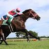 Jul 18, 2021 · アイビスサマーダッシュは、直線競馬という特殊なコース設定になっていることから、これまで、小回りコースや、内回りコースでの機動力が求められるコーナワークで苦戦している馬、レース前から入れ込み、スタート後に、かかって先行して体力消耗をしていた馬が、直線競馬でスタートダッシュから入れ込んで暴走しても1000mの距離ならゴールまで持つ可能性が. 1