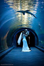 Travel Places Aquarium Wedding Aquarium Wedding Reception Zoo Wedding