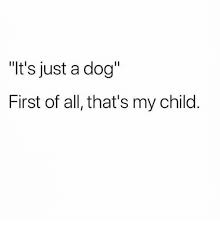 Memes And Dog It S Just A Dog First Of All That S My Child Dog Quotes Love Dog Quotes Funny Quotes