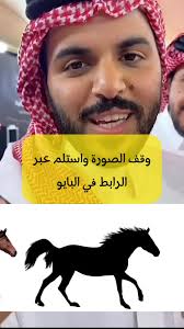 عيد أضحى سعيد مع غازي ❤️ #غازي_الذيابي #مخلد_سهل #غازي_المطيري #عبد...