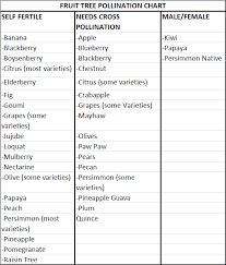 28 paradigmatic fruit tree pollinators chart