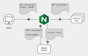 How to get tokens and where to use them. Validating Oauth 2 0 Access Tokens With Nginx And Nginx Plus Nginx