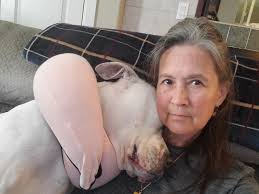 Thank You Diane Mares for picking up Arco and your willingness to foster  him until we can get his medical figured out and a placement for him.  🐾💕🙏 ARCO is our Mega