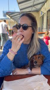 Daisy Rey (@daisy_rey_dachshund) • Instagram photos and videos