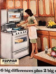 Image result for Tappan Turquoise 1983 Tappan