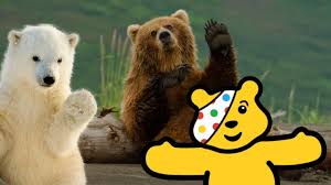 A grizzly bear's bite could crush a bowling ball. Pudsey Bear S Amazing Bear Quiz Blue Peter Cbbc Cbbc Bbc