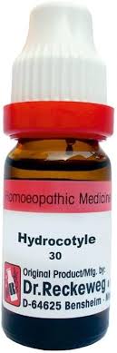 Buy HYDROCOTYLE ASIATICA 30 11ML Dr. Reckeweg Online at Low Prices in India  - Amazon.in