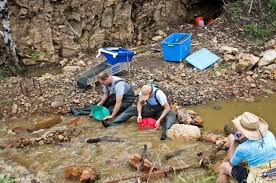 4 Great And Free Spots To Pan For Gold In Denver Panning For Gold Gold Mining Gold