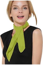 Amazon.com: Vesuvio Napoli ASCOT Solid ORANGE Color Cravat Men's Neck Tie :  Clothing, Shoes & Jewelry