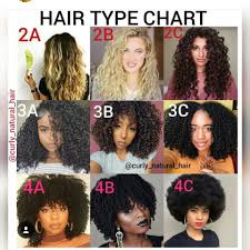 Pin By Mercedes Dozie On Hair Goals Natural Hair Types Curly Hair Tips Natural Hair Styles