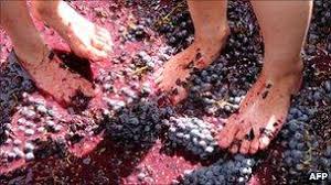 Oldest known wine-making facility' found in Armenia - BBC News