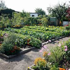 Aktuelle meldungen ausbildungsmesse in paarenglien. Garten Mieten So Pachten Sie Einen Schrebergarten Mein Schoner Garten