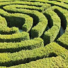 Blüten und duft in eis und schnee. Gartenplanung Gartengestaltung Home Facebook