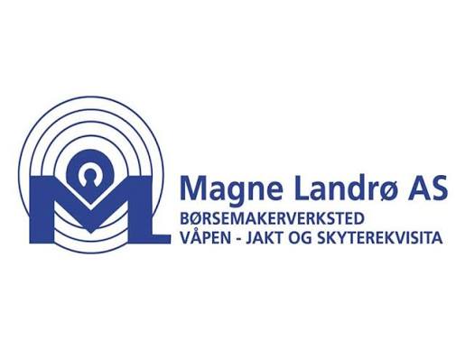 Magne Landrø
