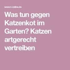 Was Tun Gegen Katzenkot Im Garten Katzen Artgerecht Vertreiben Katzenkot Katzen Kot