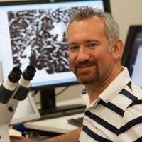 1800+ profilů „Kerman“