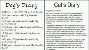 My cat is evil and he is trying to take over the world. Dog Vs Cat Diary Youtube