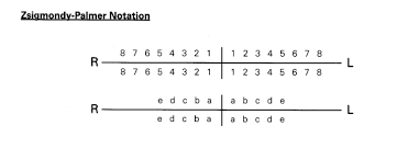 Amitha g dept of oral pathology 2. Https Templaterepublic Com Wp Content Uploads 2020 03 Tooth Notation Charting Symbols Guidance Pdf
