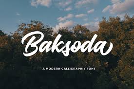 You can find more information about this below. Baksoda Script Font Befonts Com