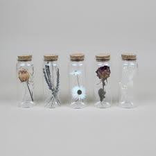 5 Small Joni Vases With Dried Flowers Uk Delivery