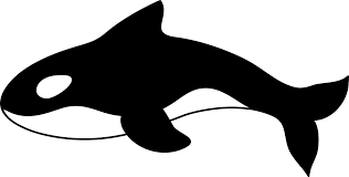 Add an eye, a mouth and a long pointed tongue. Easy To Draw Orca Whale Novocom Top