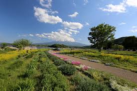 Oishi Park The Best View Of Mt Fuji At Kawaguchiko Natural Living Center Kawaguchiko Net