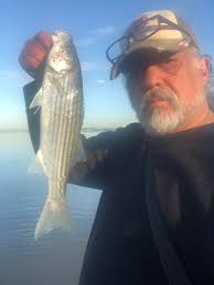 Tide information for morning fishing at the falls
