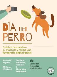 Bien dicen que los perros son los mejores amigos del hombre, su cariño es. Facebook