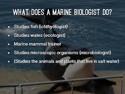 In the federal government in 2009, for example, microbiologists earned an average income of £63,221 which is 50 per cent more than microbiologists across the board. Marine Biology By Becca Keaton