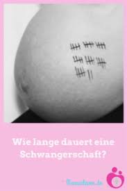 Wie Lange Dauert Eine Schwangerschaft Mamaclever De