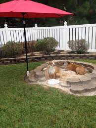 Not only excess energy influences, a bored dog will find a way to entertain himself either by eating the pots and plants or digging in the ground. How To Stop Your Dog From Digging Under The Garden Fence