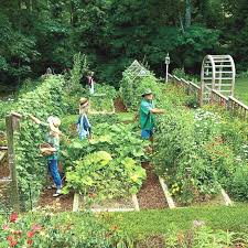 Mediterranean Garden Design In 2020 Vegetable Garden Design Fall Vegetables To Plant Fall Garden Vegetables