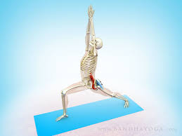 Stretching Growing Older And Your Down Dog Yoga Anatomy Bandha Yoga Yoga Stretches