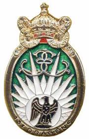 Insigne Du 13 Rdp 13e Regiment De Dragons Parachutistes Regiment French Army Special Operations Command