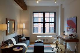 A small apartment located in leblon, rio de janeiro. Dumbo Modern Interior Design 1 Bedroom Apartment Modern Living Room New York By B Moore Design Inc Houzz