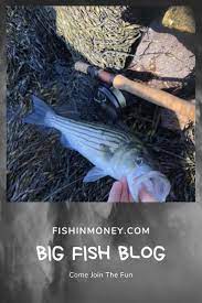 Ice Fishing Crappie At Night Fishin Money Fishing Tips Striped Bass Fishing Bass Fishing Lures Fish