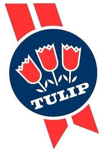 Tulip food | Thermal fluid analysis | Global Heat Transfer clients