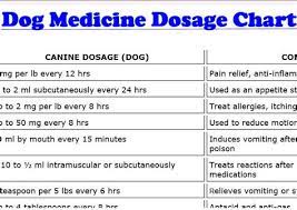 Pepto Bismol For Dogs Dosage Chart Images Nomor Siapa