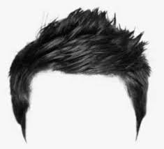 We've got an extensive library of sticker categories that will instantly level up your photos and videos. Hairs Png Images Png Cliparts Free Download On Seekpng Page 18