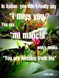 Pin By Nuvolosa On Ti Amo Amore Mio Italian Quotes Italian Language Learning Italian