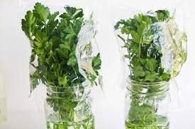 How To Store Parsley, Cilantro, And Other Fresh Herbs