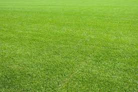 Natural Lawn Green Grass Texture Beautiful Natural New Green Grass Texture New Affiliate Green Grass Natural Grass Textures Green Lawn Green Grass
