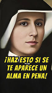 Fraccionamiento Delta Faustina